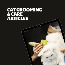 Cat Grooming & Care – 5 Pre-Written Articles