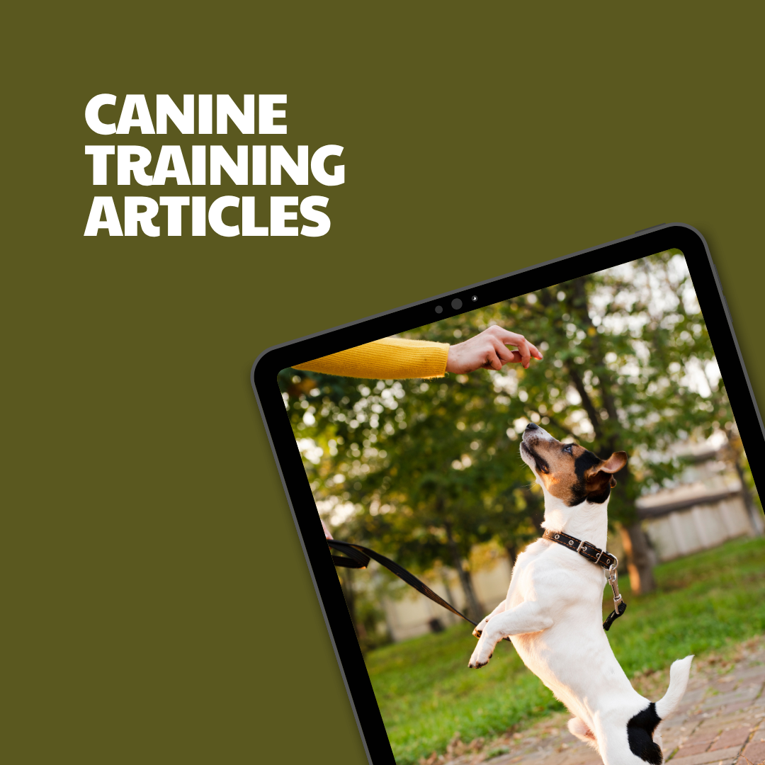 Canine Training – 8 Pre-Written Articles