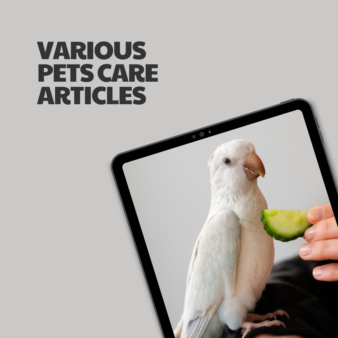 Various Pets Care – 12 Pre-Written Articles